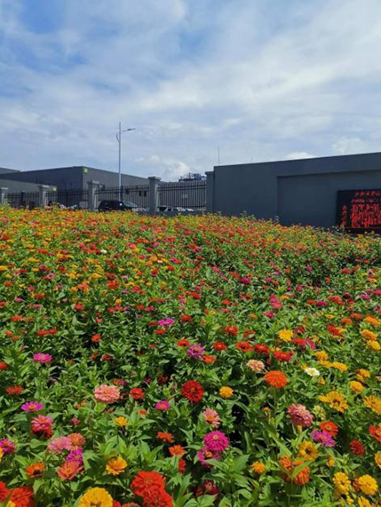花开荆门 人聚汉瑞_PP电子 -神经药物生产基地