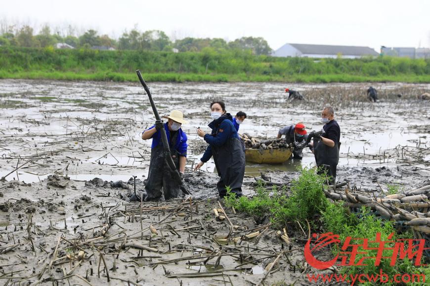 公益助农战“疫”，，，企业相助共赢_PP电子 -神经药物生产基地